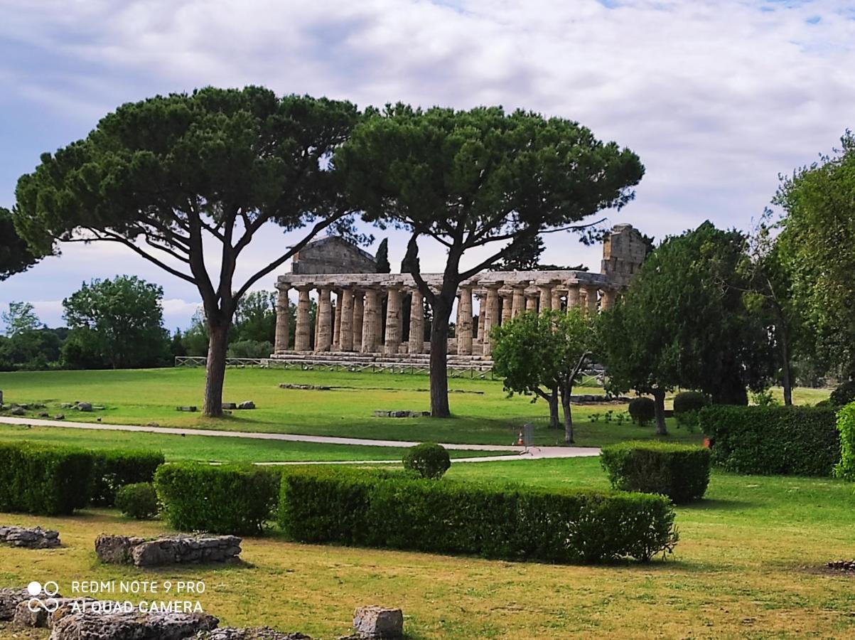 B&B Villa Di Bartolomeo カプチオ・パエストゥム エクステリア 写真